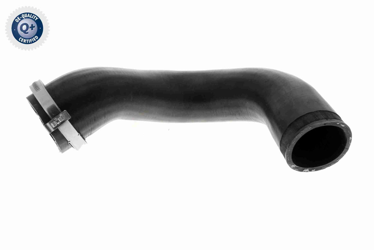 Charge Air Hose - V10-4816