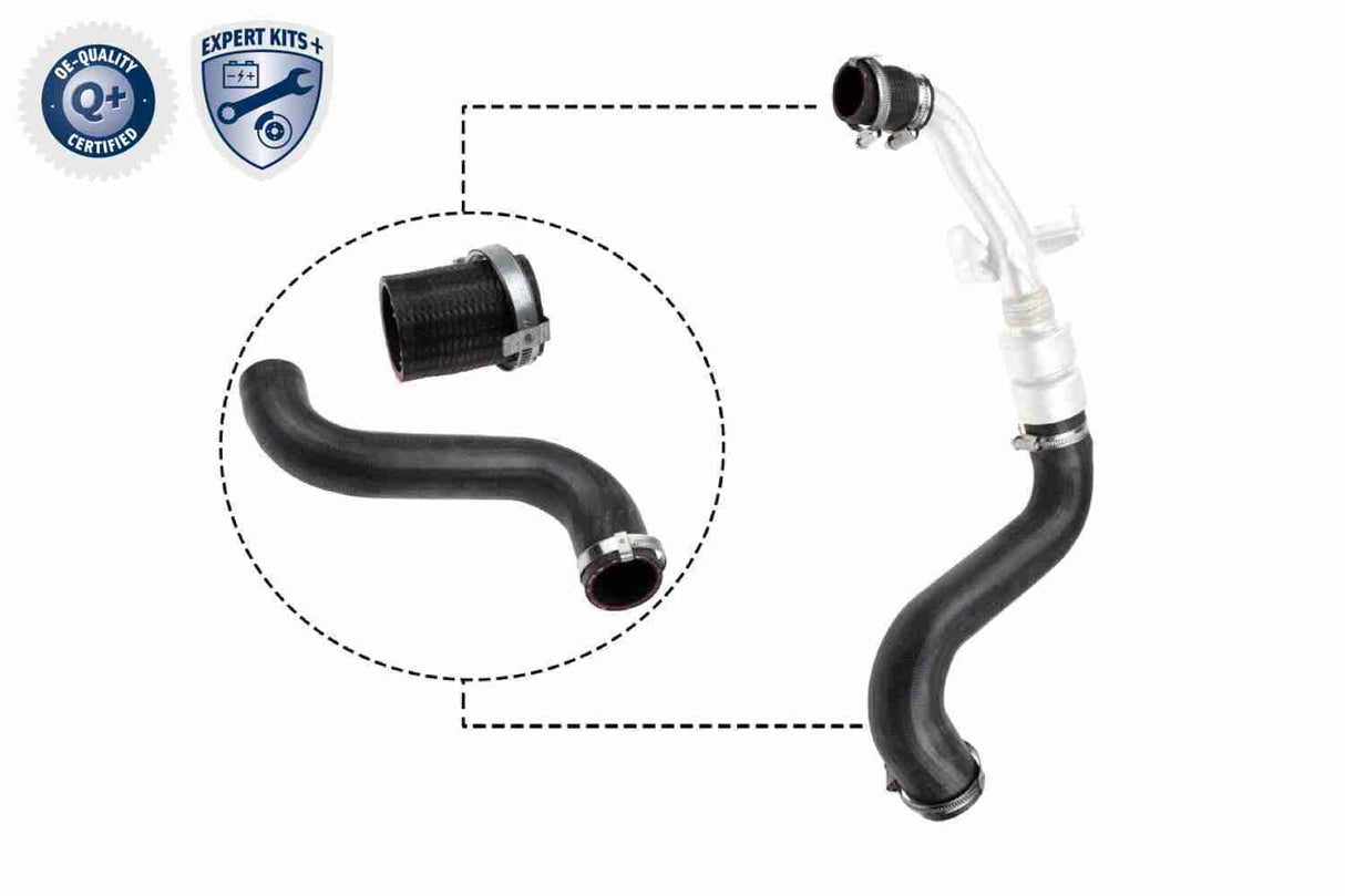 Charge Air Hose - V48-0197