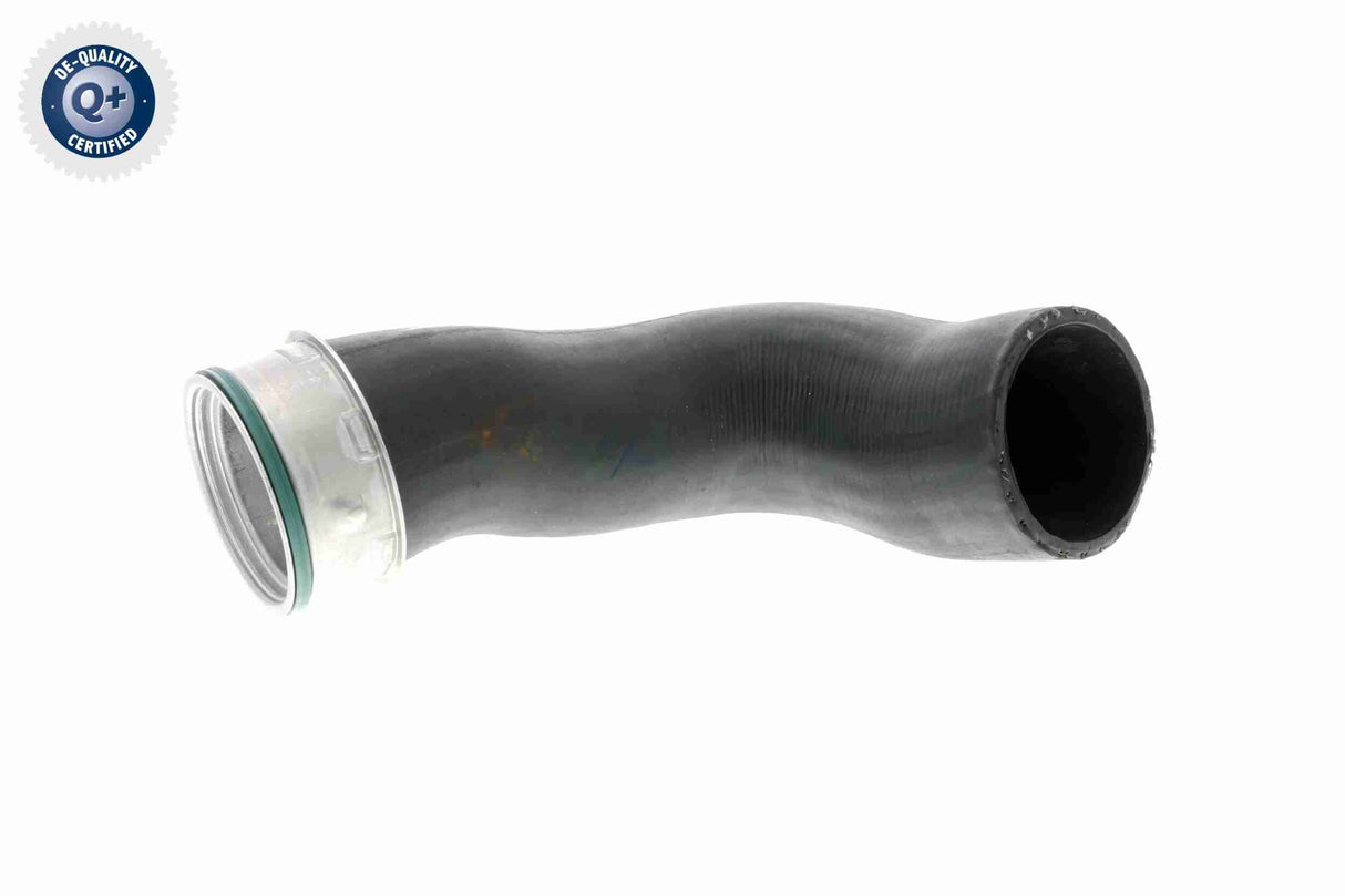 Charge Air Hose - V10-3816