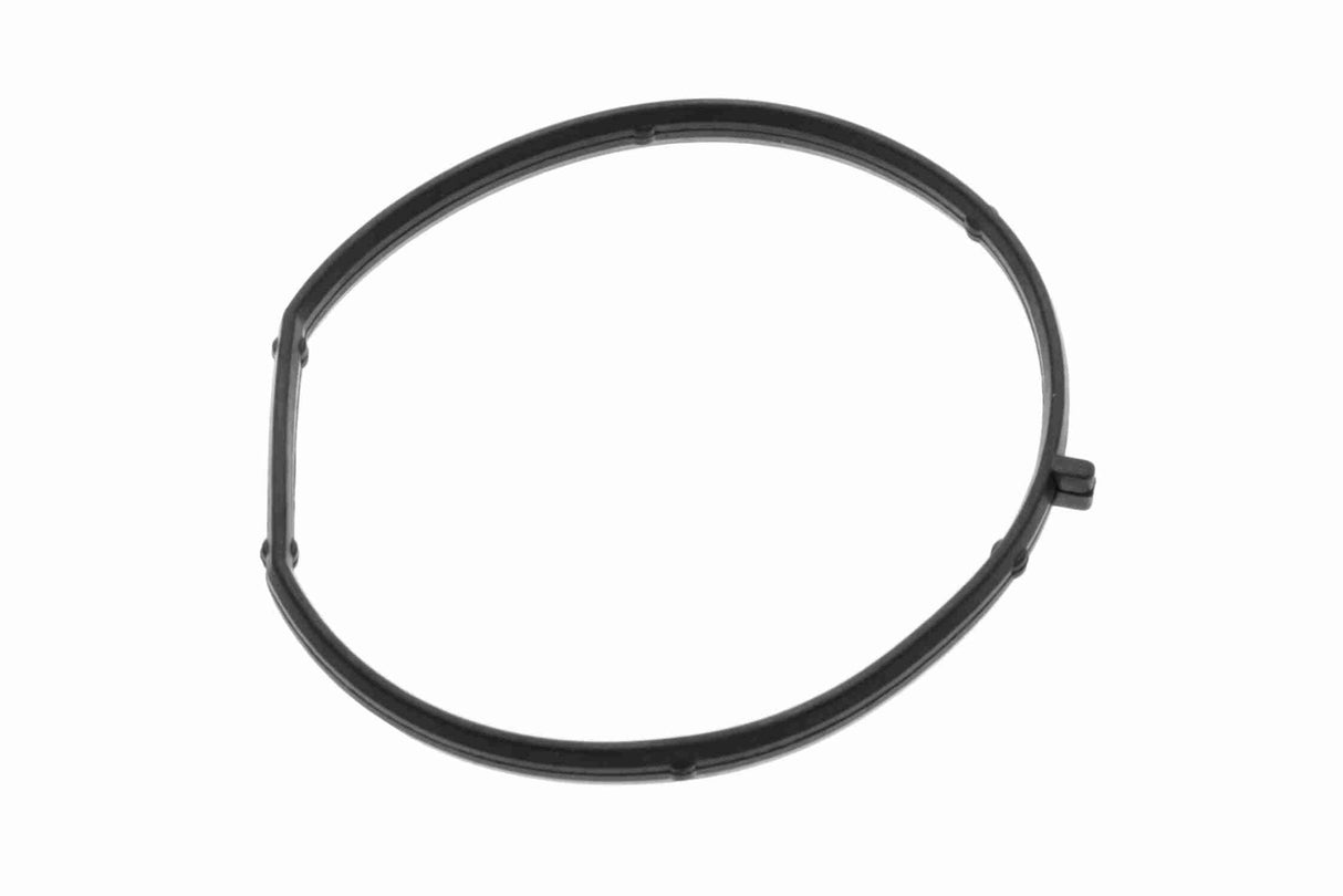 Gasket, timing case cover - V10-63-0192