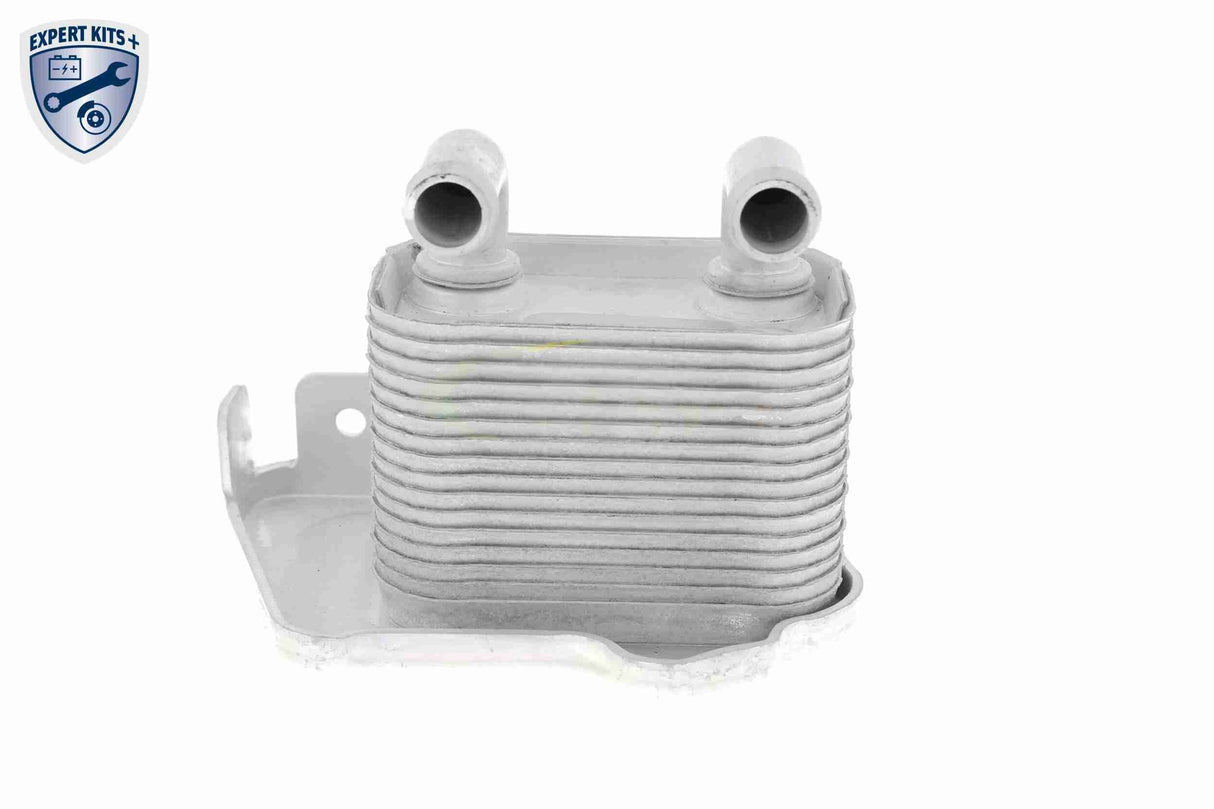 Oil Cooler, engine oil - V40-60-2105