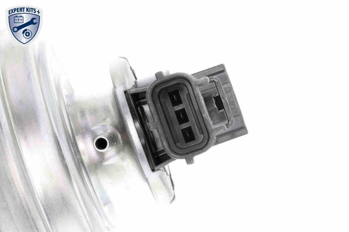 Valve, exhaust gas recirculation - V25-63-0021