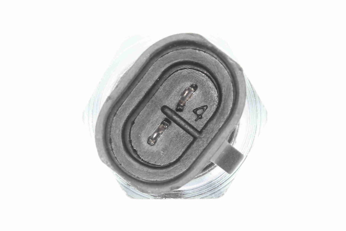 Switch, reverse light - V24-73-0006