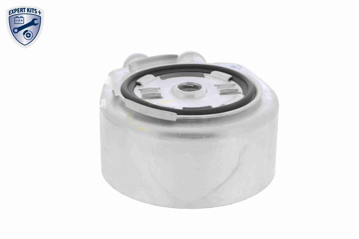 Oil Cooler, engine oil - V25-60-0034