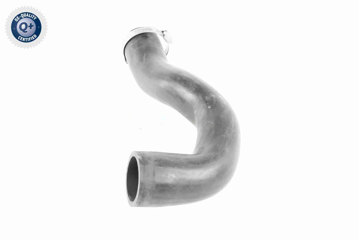 Charge Air Hose - V40-1509