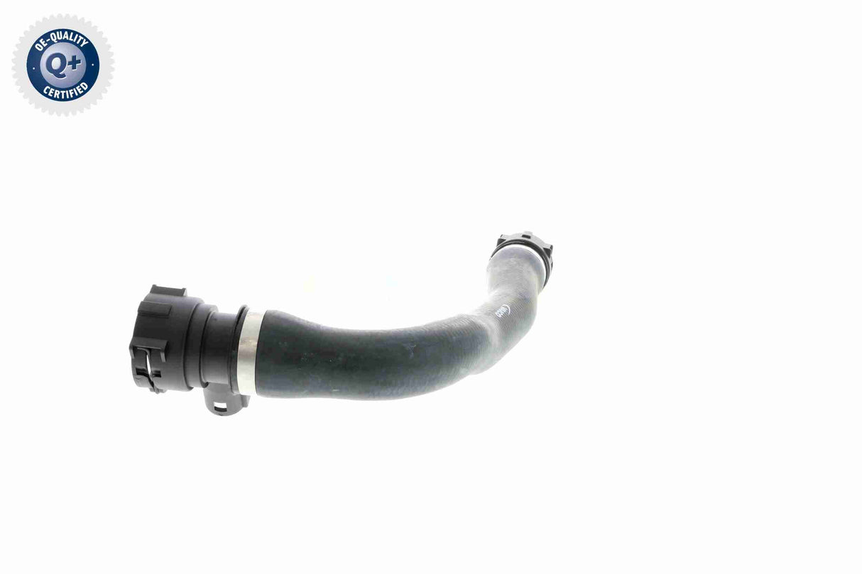 Radiator Hose - V20-1302
