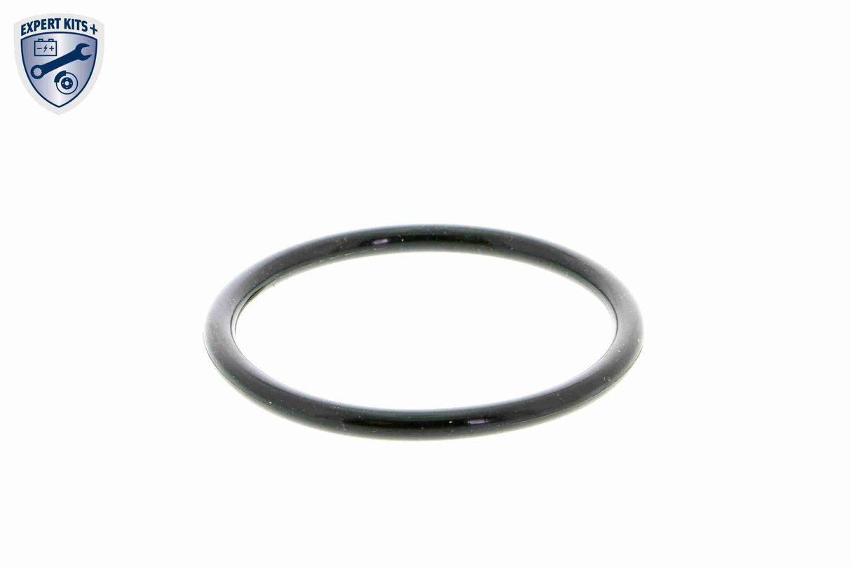 Thermostat Housing - V15-99-2054