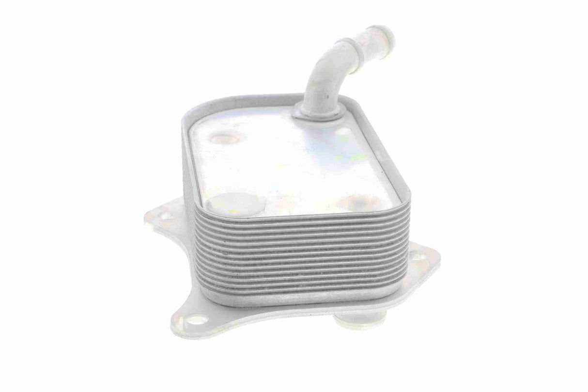 Oil Cooler, engine oil - V15-60-6071