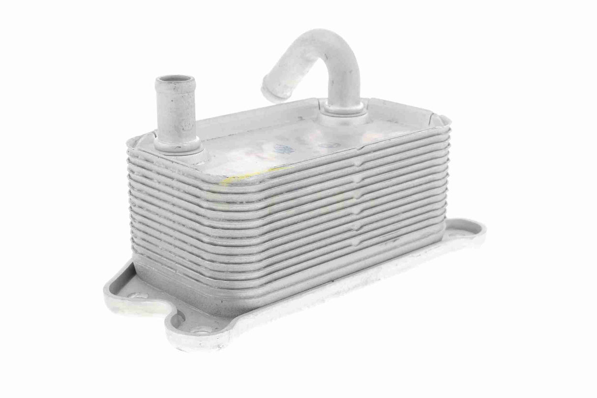 Oil Cooler, engine oil - V95-60-0020
