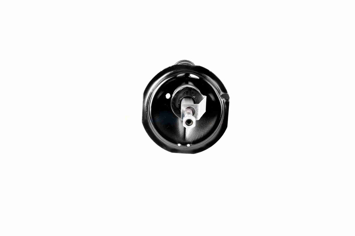 Shock Absorber - V24-0166