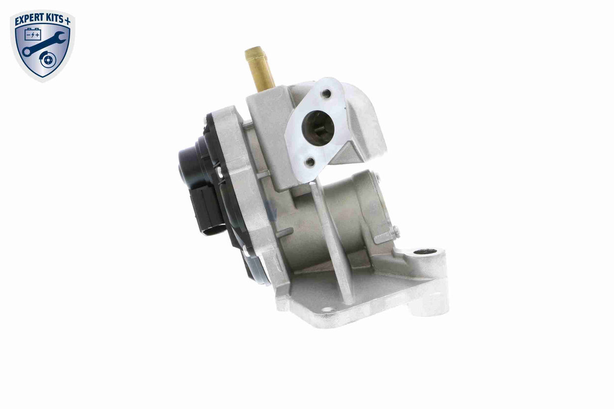 Valve, exhaust gas recirculation - V10-63-0053-1