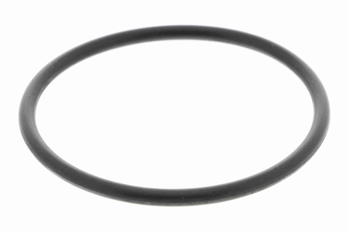 Seal, thermostat - V10-99-9003
