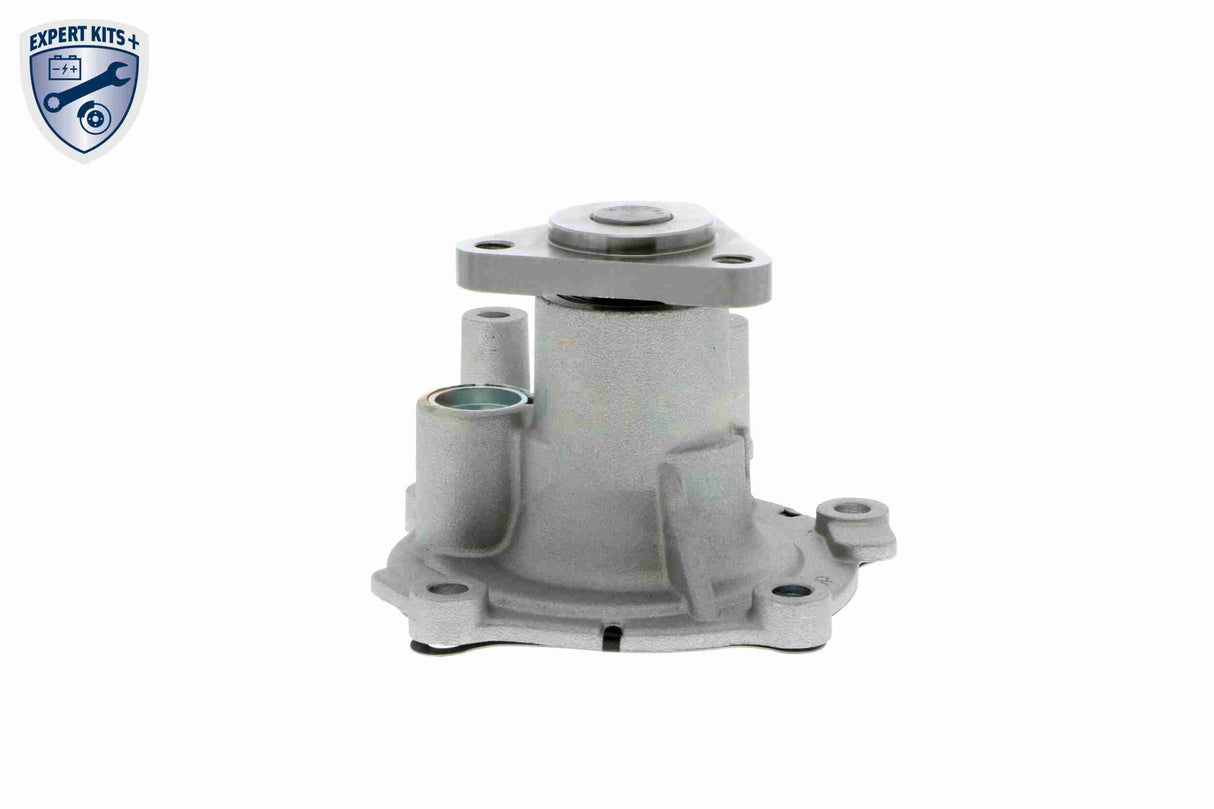 Water Pump, engine cooling - V25-50029