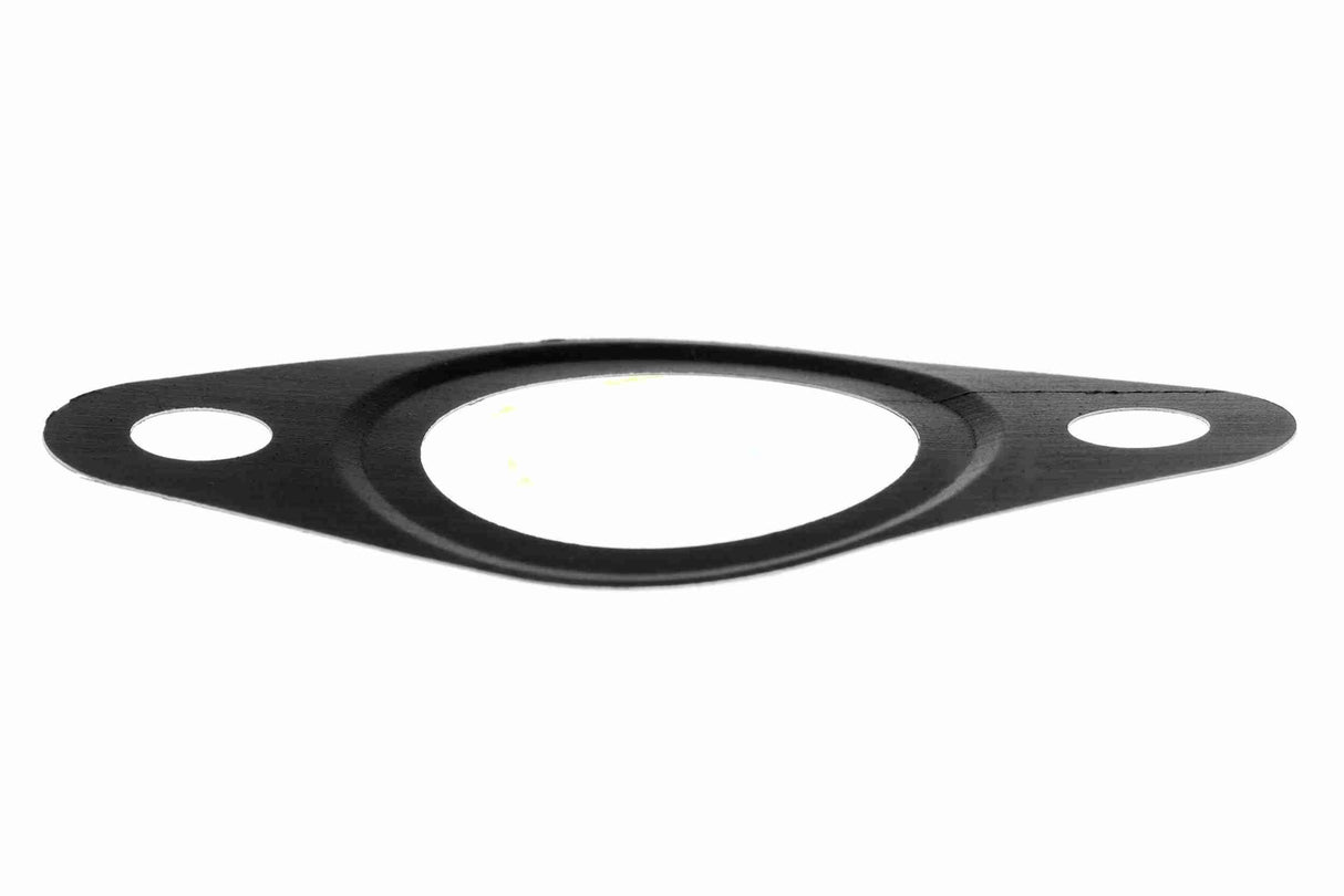 Gasket, EGR valve - V24-63-0015