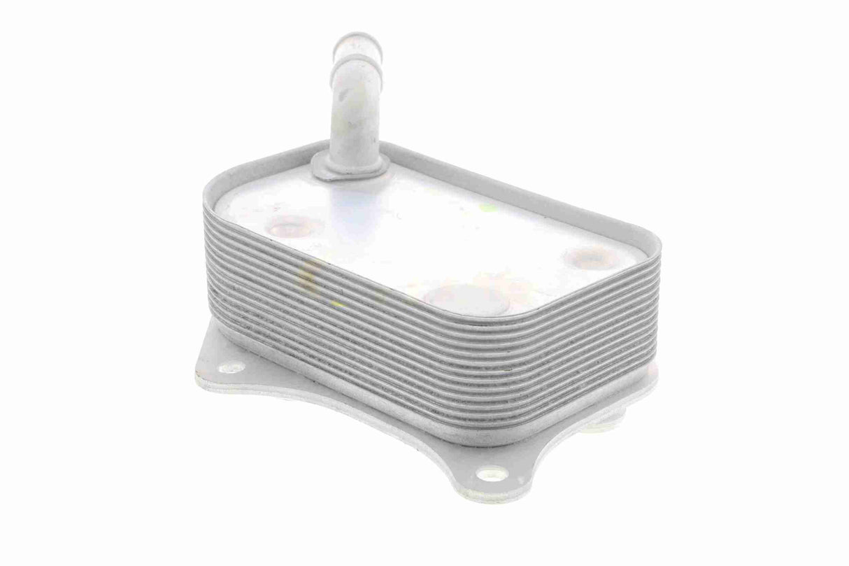 Oil Cooler, engine oil - V15-60-6071