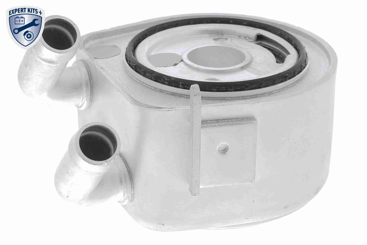 Oil Cooler, engine oil - V25-60-0035