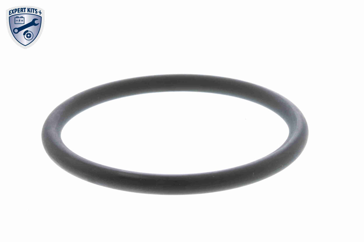 Thermostat, coolant - V15-99-2062
