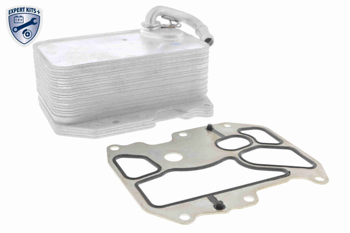Oil Cooler, engine oil - V15-60-6075