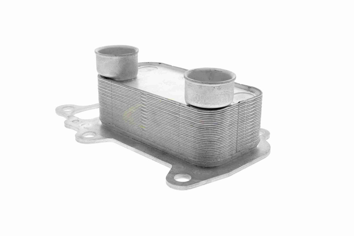 Oil Cooler, engine oil - V20-60-0061
