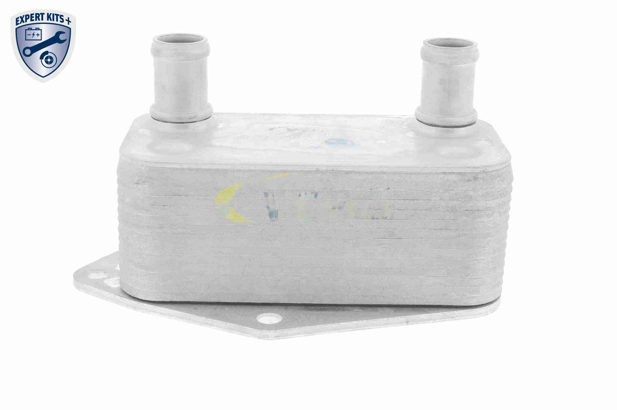 Oil Cooler, engine oil - V20-60-0062