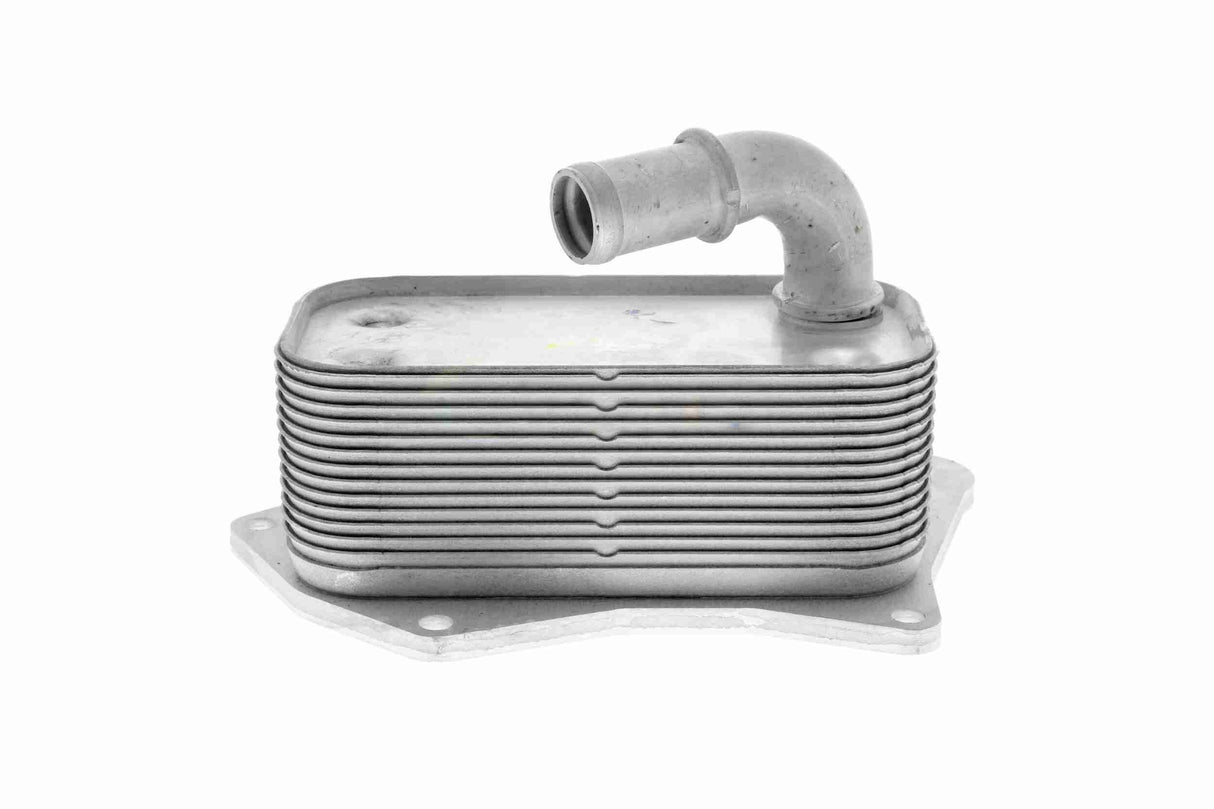 Oil Cooler, engine oil - V40-60-2099