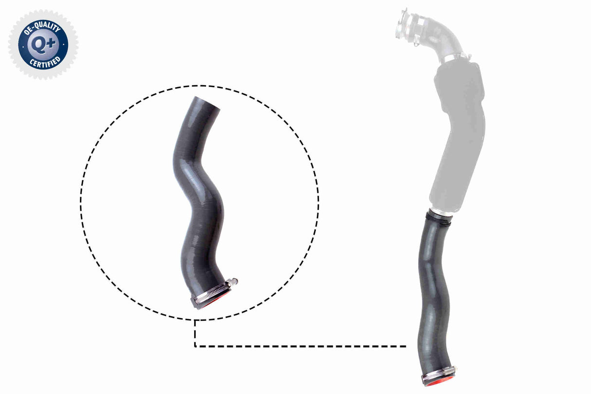 Charge Air Hose - V46-1032