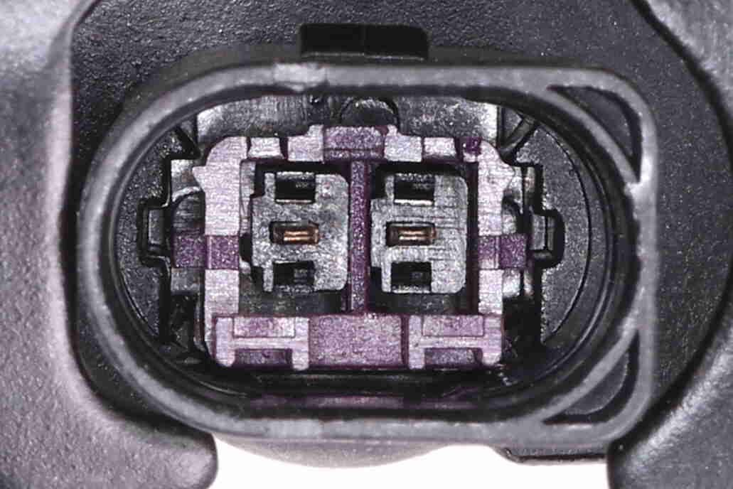 Air Suspension Strut - V10-50-0003