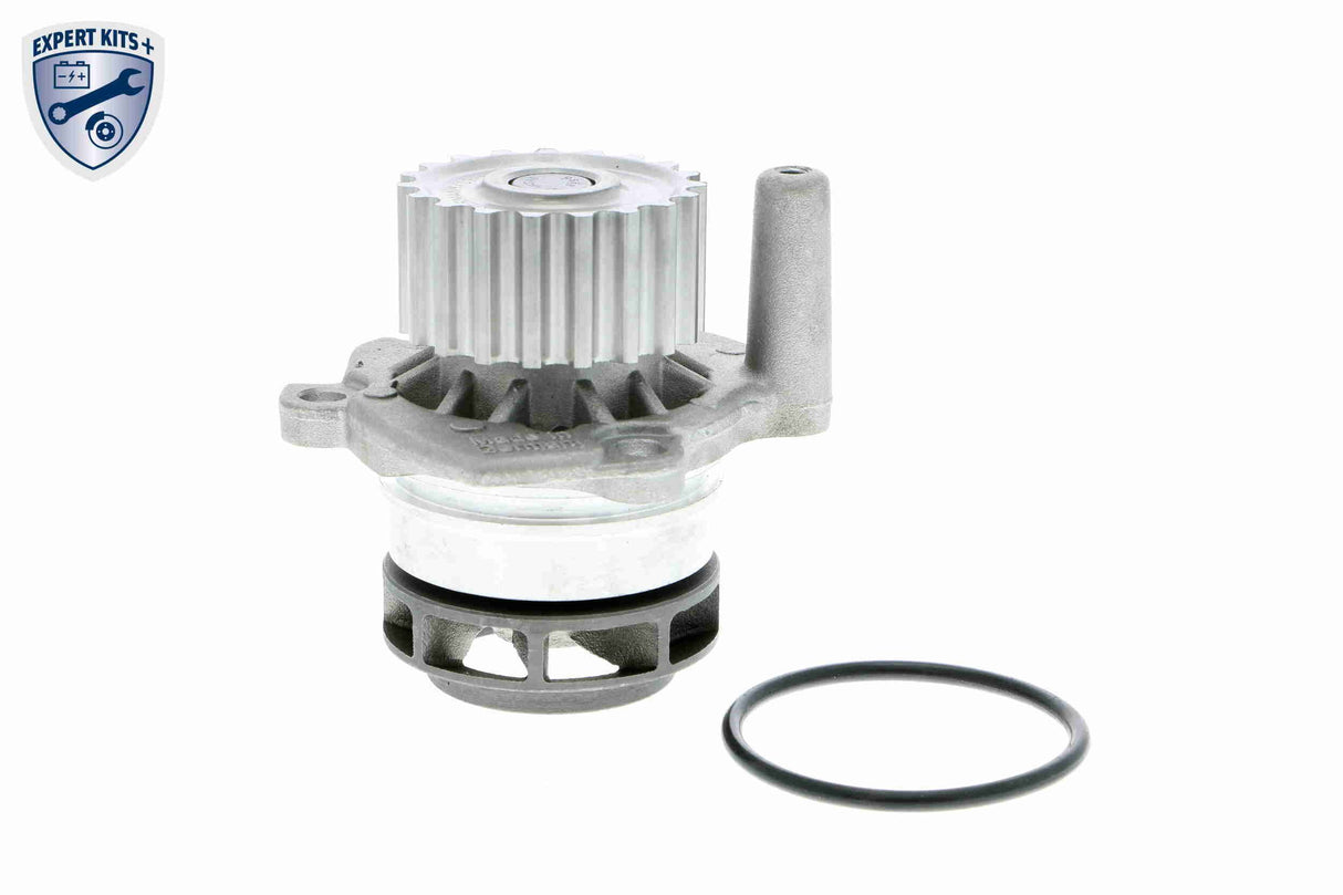 Water Pump & Timing Belt Kit - V10-50107-BEK