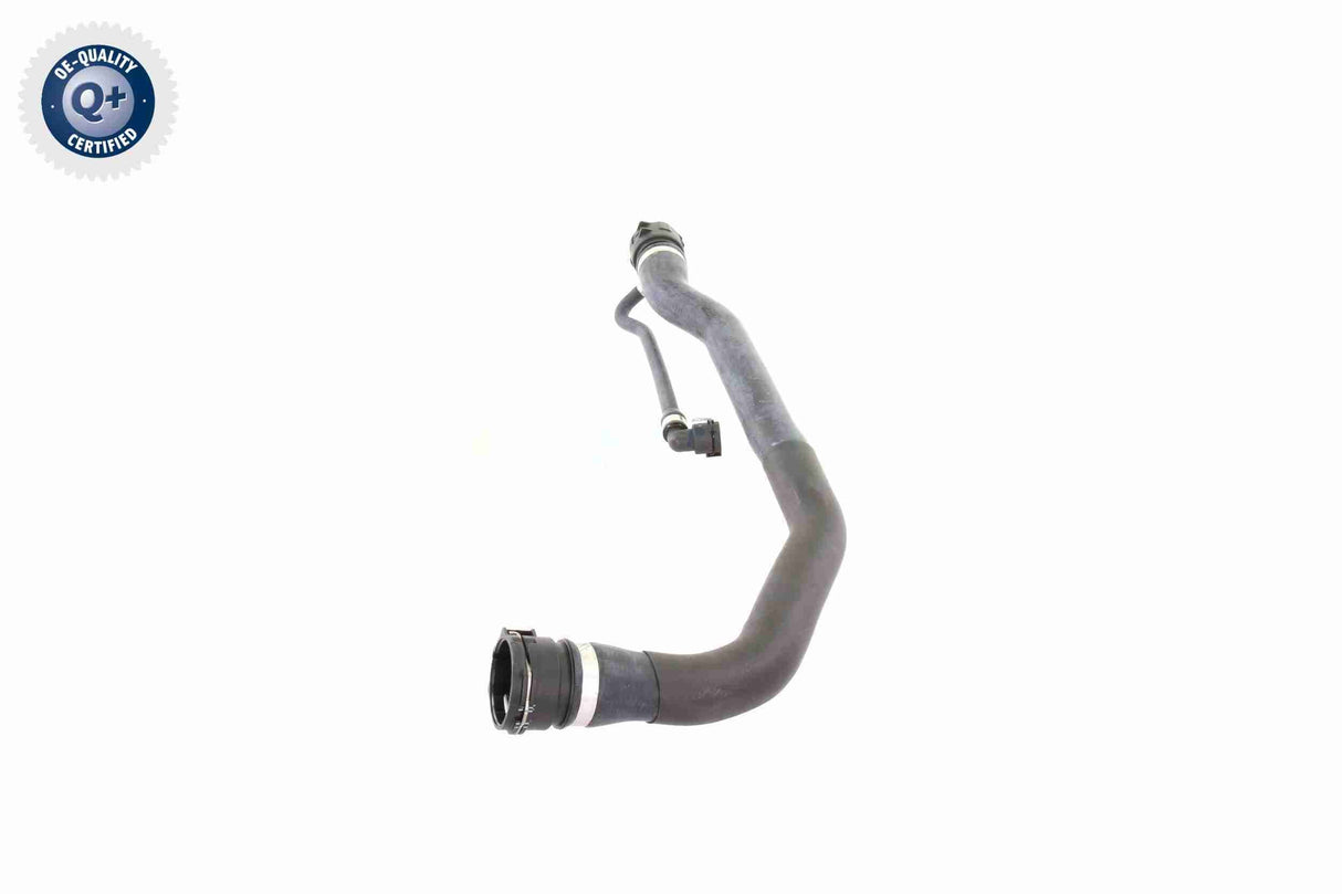 Radiator Hose - V20-1346