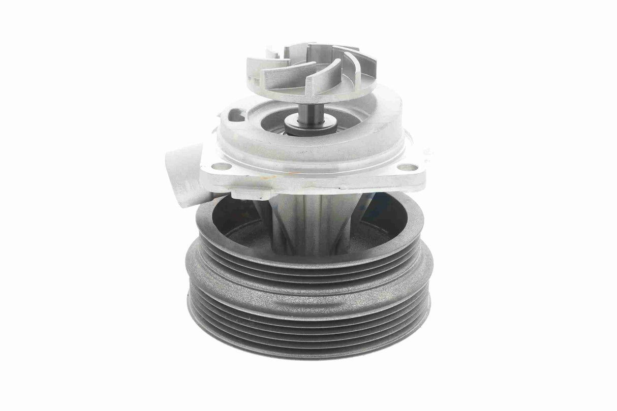 Water Pump, engine cooling - V24-50007