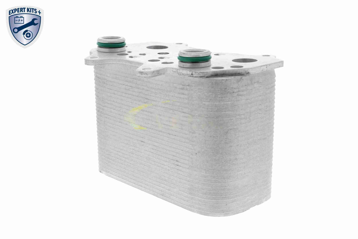 Oil Cooler, automatic transmission - V45-60-0001