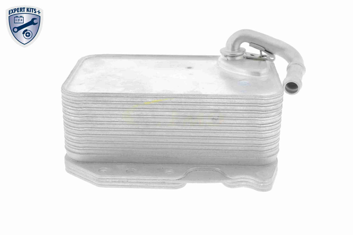 Oil Cooler, engine oil - V15-60-6075