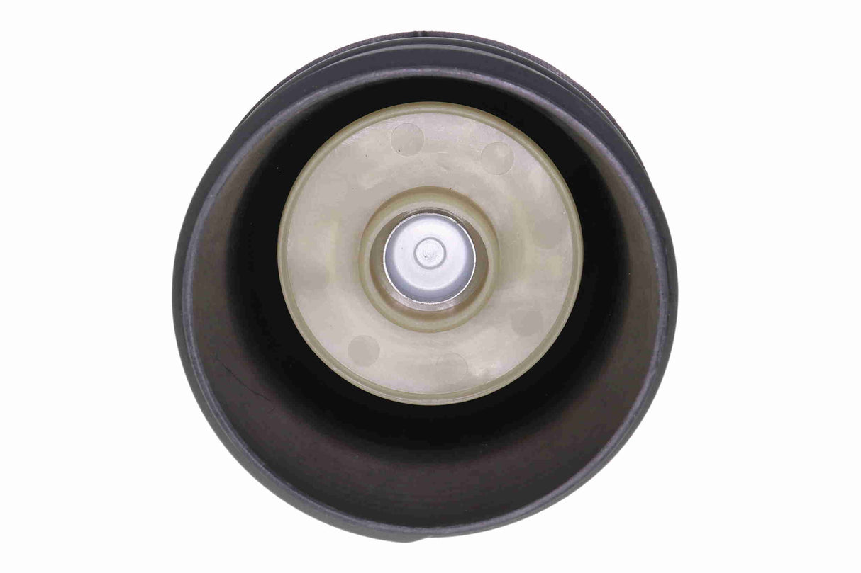 Cap, oil filter housing - V10-4020