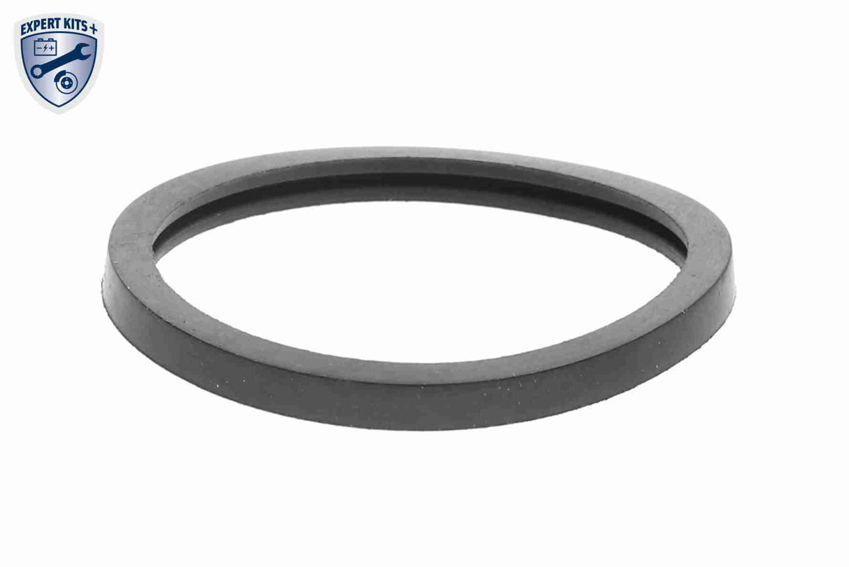 Thermostat, coolant - V15-99-1895