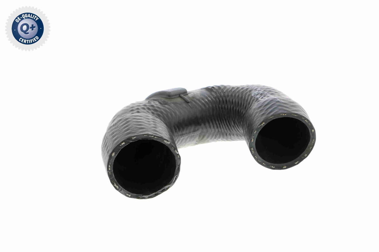 Radiator Hose - V20-2410