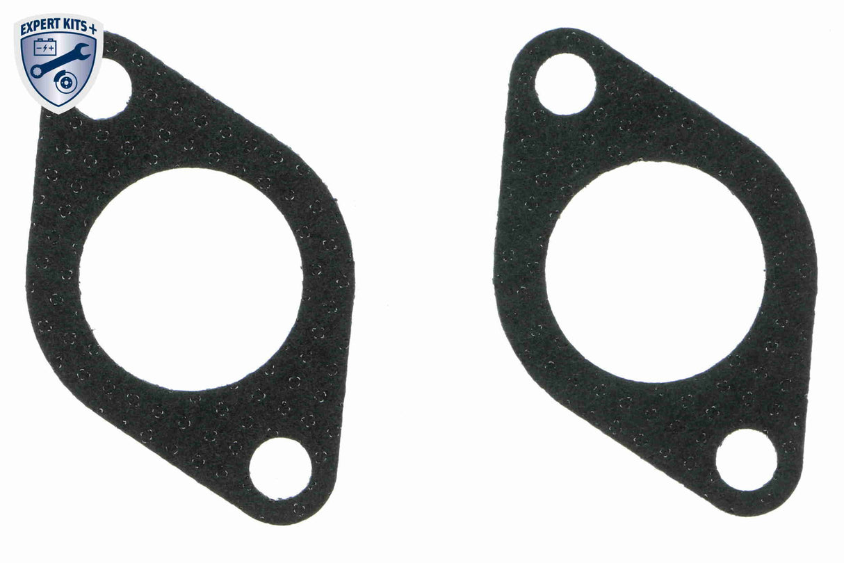 Cooler, exhaust gas recirculation - V10-63-0100