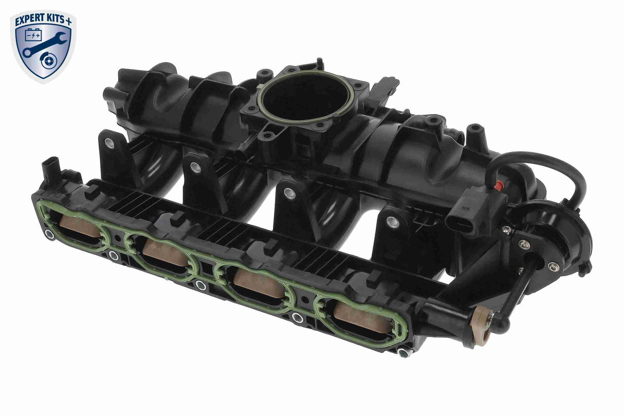 Intake Manifold Module - V10-6723