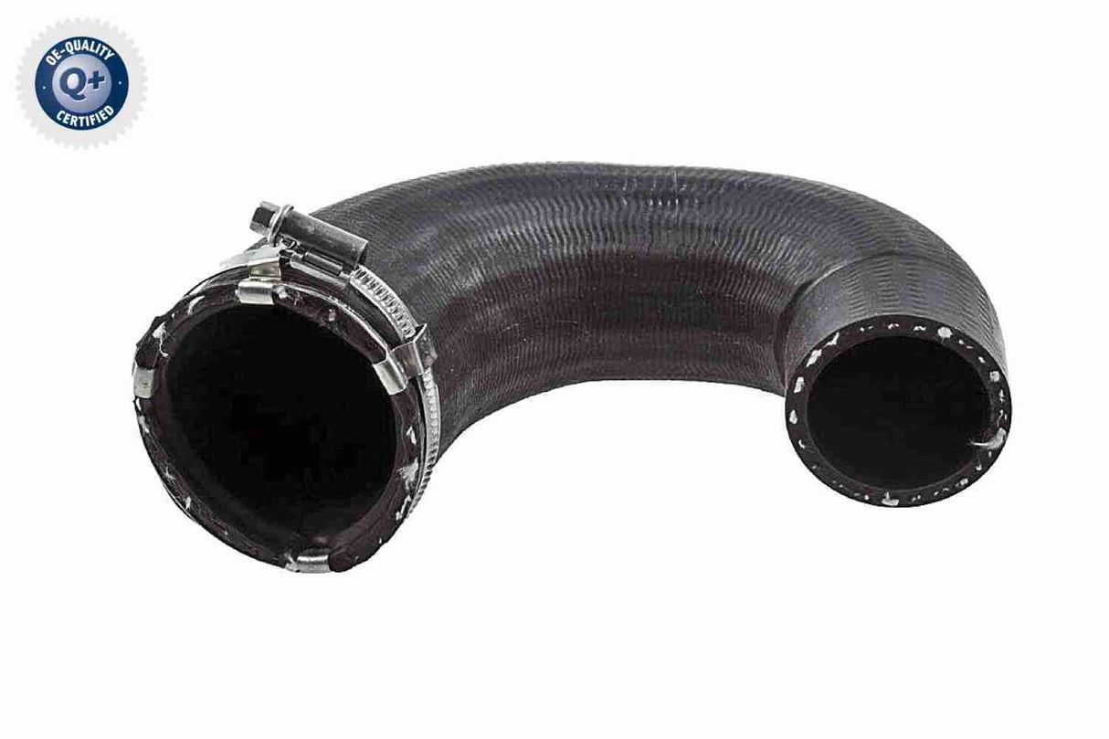 Charge Air Hose - V40-1524