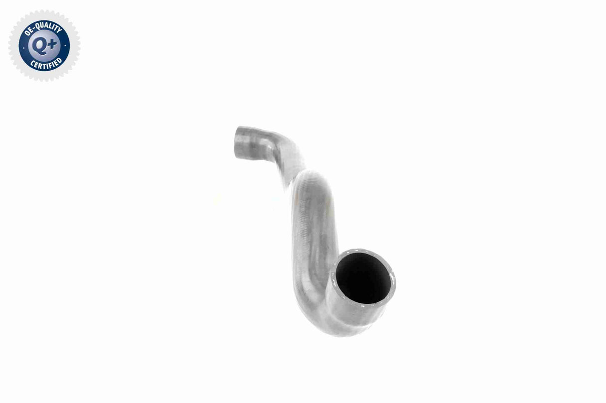 Charge Air Hose - V50-0084