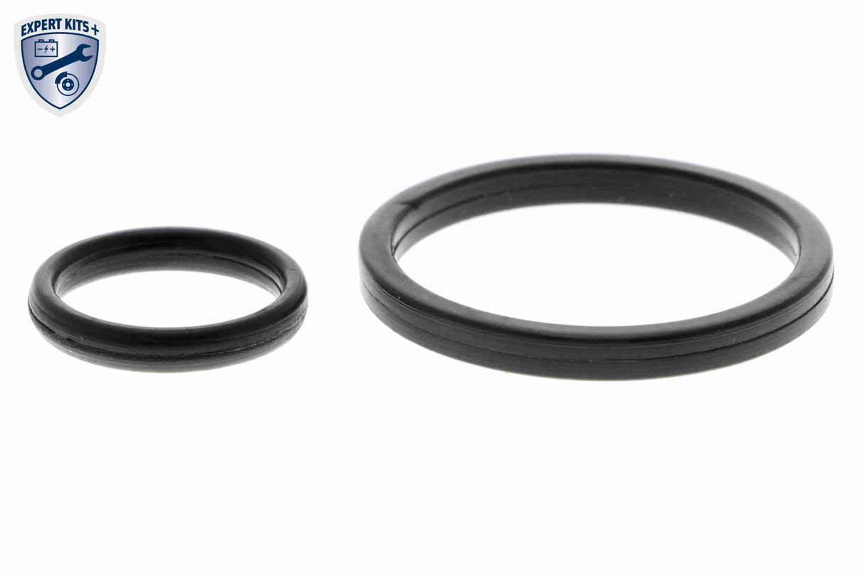 Oil Cooler, engine oil - V15-60-6073