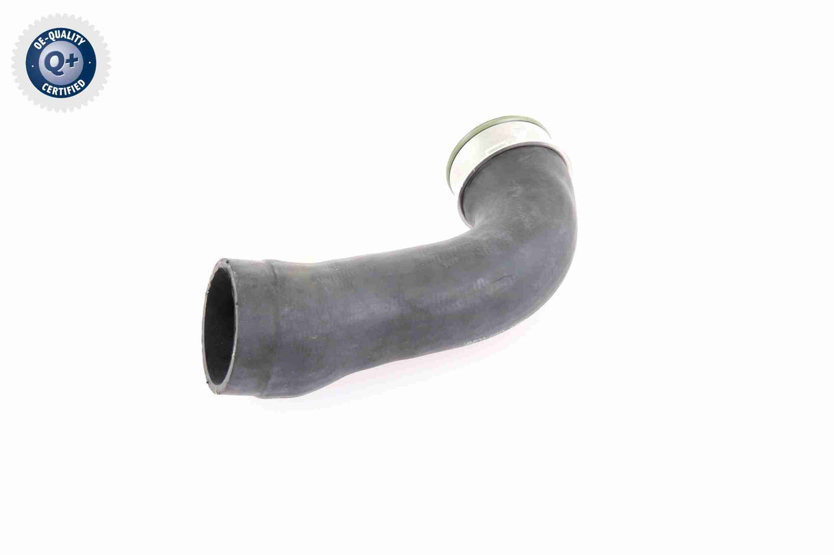 Charge Air Hose - V10-3788