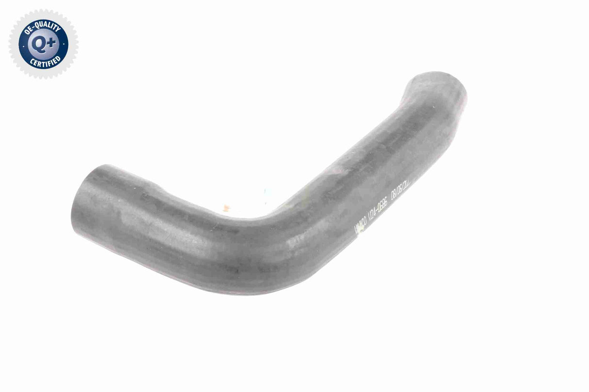 Charge Air Hose - V24-0696