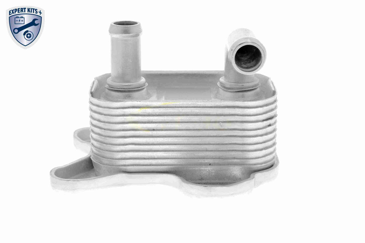Oil Cooler, engine oil - V40-60-2106