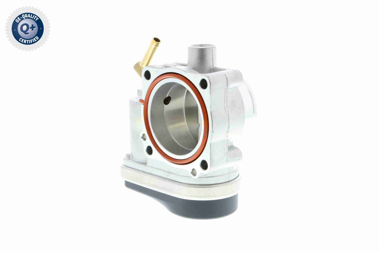 Throttle Body - V20-81-0020