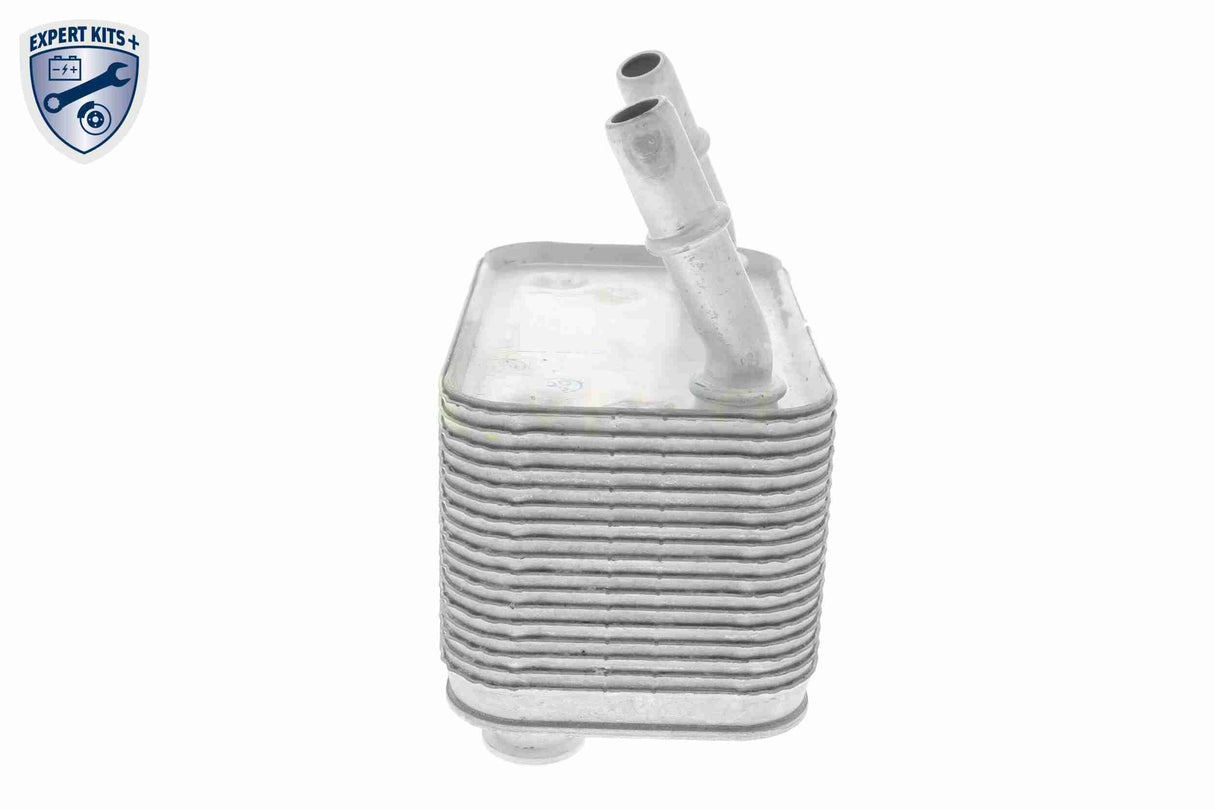 Oil Cooler, automatic transmission - V48-60-0025