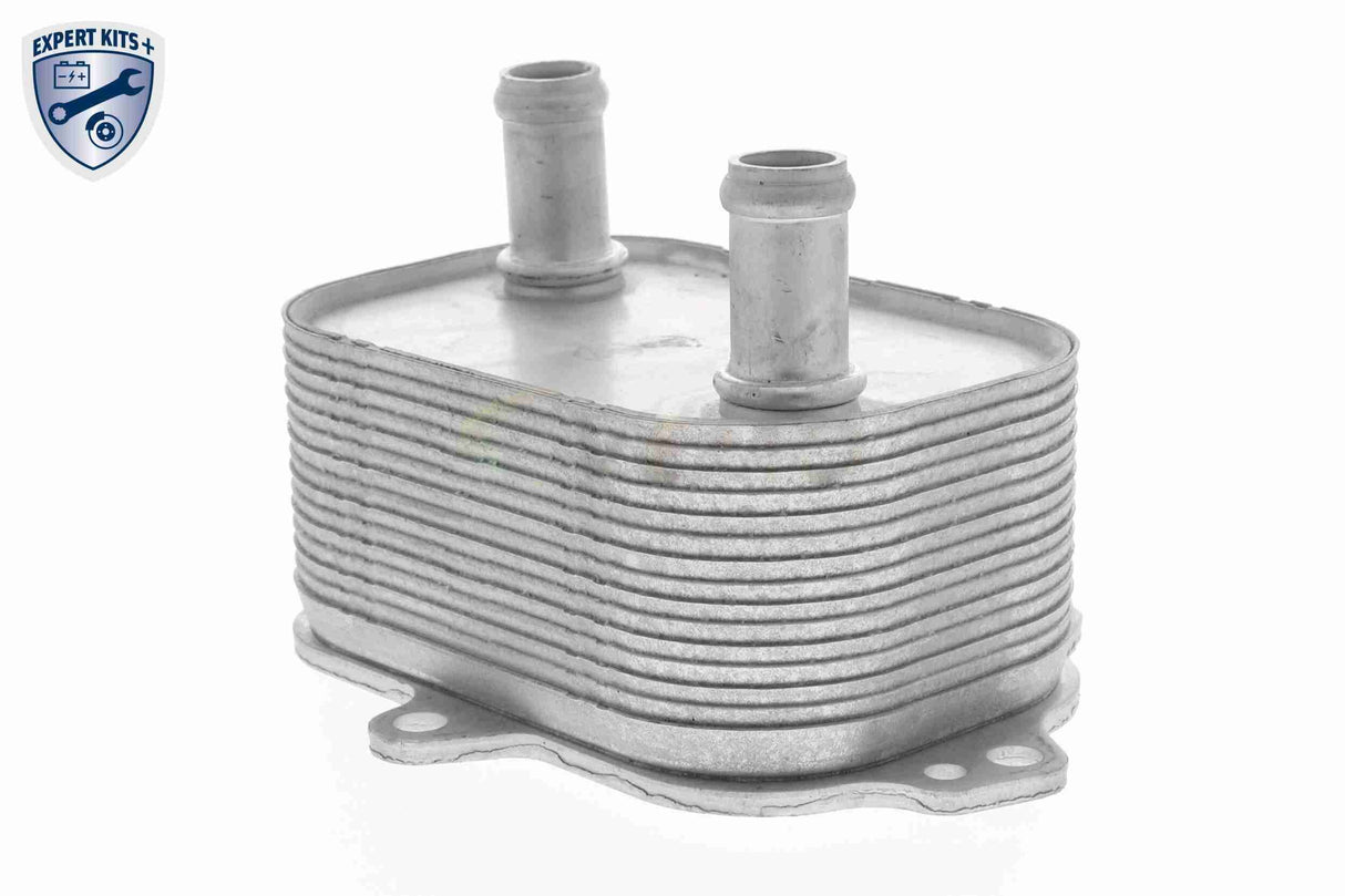 Oil Cooler, engine oil - V15-60-6091