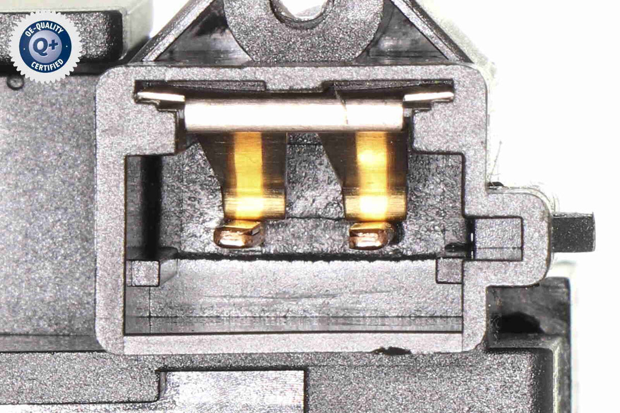 Switch, headlight - V42-80-0015