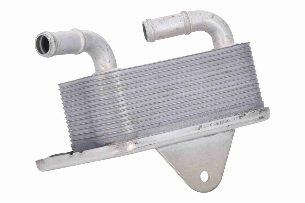 Oil Cooler, engine oil - V15-60-6019