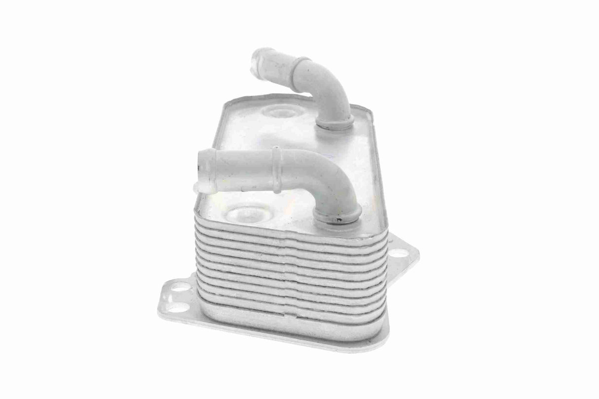Oil Cooler, engine oil - V10-60-0008