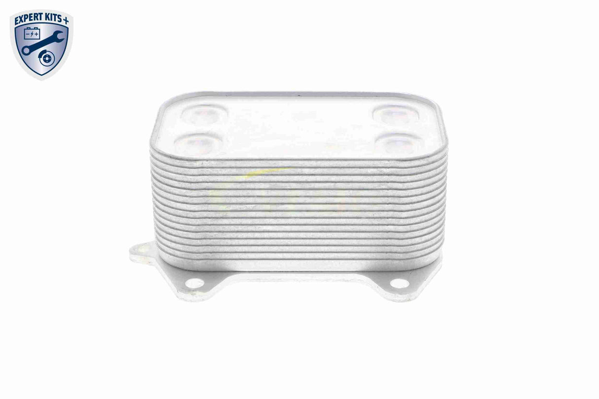 Oil Cooler, engine oil - V15-60-6061